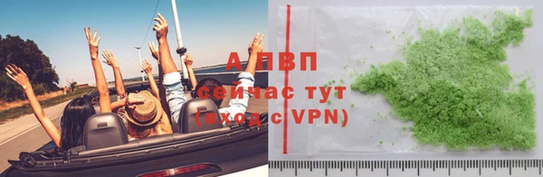 хмурый Верея