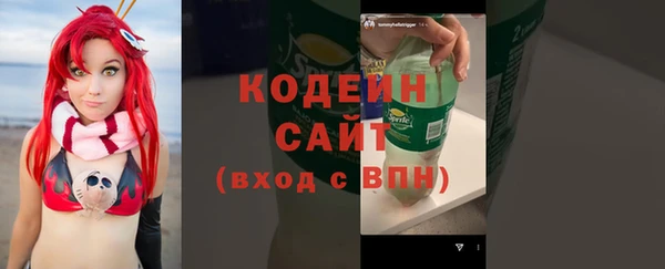 гидра Верхний Тагил