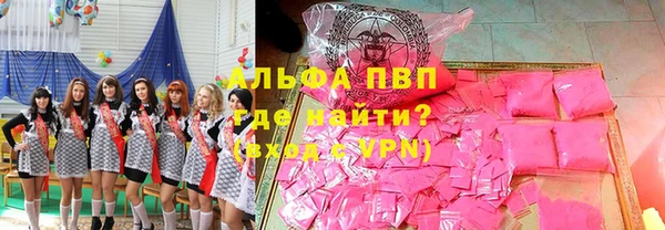 хмурый Верея