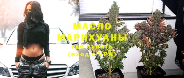 хмурый Верея