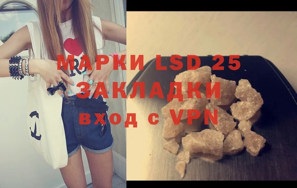 хмурый Верея