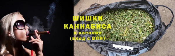 хмурый Верея