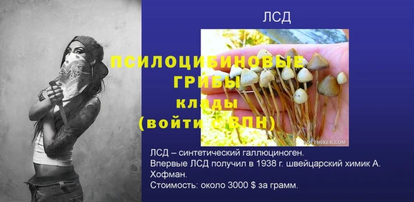 хмурый Верея
