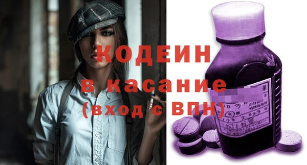 хмурый Верея