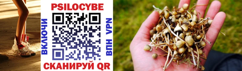 Псилоцибиновые грибы Cubensis  Всеволожск 